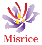 Misrice Logo